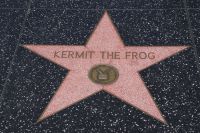 32 Walk of fame