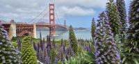 328 Golden Gate Bridge