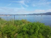 34. Sausalito (2)