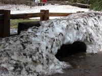 Sequoia-Nationalpark