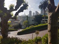 42. Die legendäre Lombard Street (2)