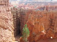 Bryce Canyon 