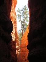 Bryce Canyon 
