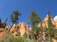 Bryce Canyon 