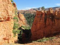 Bryce Canyon 