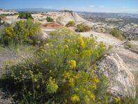 im Escalante Staircase NP