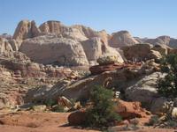 auf dem Fruita Overlook