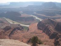 Horse Death mit Colorado