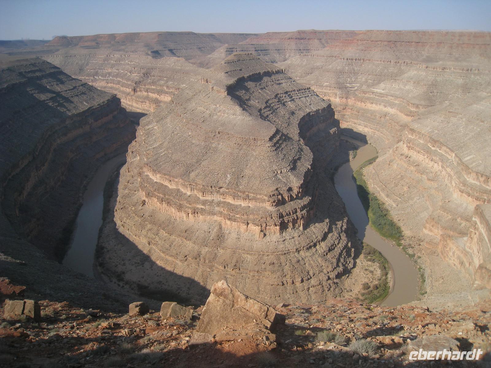 Goodeneck des San Juan Rivers
