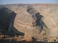 Goodeneck des San Juan Rivers