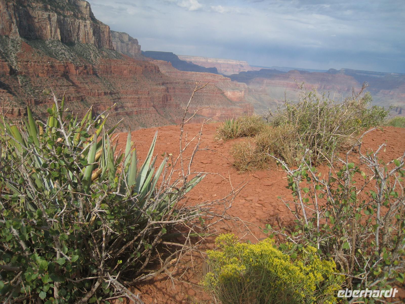 Abstieg auf dem South Kaibab