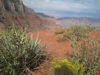 Abstieg auf dem South Kaibab