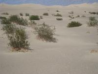 Wüste im Death Valley