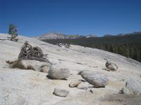 Gletscherkugeln auf dem Lembert Dome
