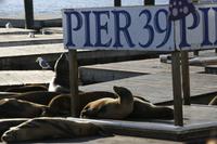 San Francisco - Pier 39