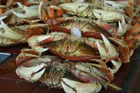 San Francisco - Fisherman`s Wharf