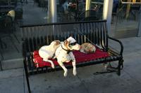 San Francisco - Fisherman`s Wharf