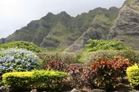 Oahu - Kualoa Ranch