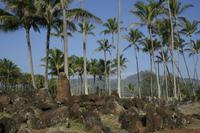 Kauai - Lydgate Park - Haulola Place
