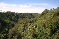 Big Island - Inselrundfahrt