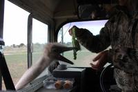 Safari auf der Y.O. Ranch