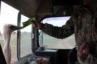 Safari auf der Y.O. Ranch