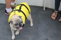 vorm Kentern geschützt! :)