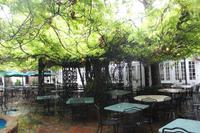 draußen wäre schön gewesen aber...