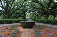 Oak Alley Plantage