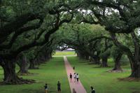 Oak Alley Plantage
