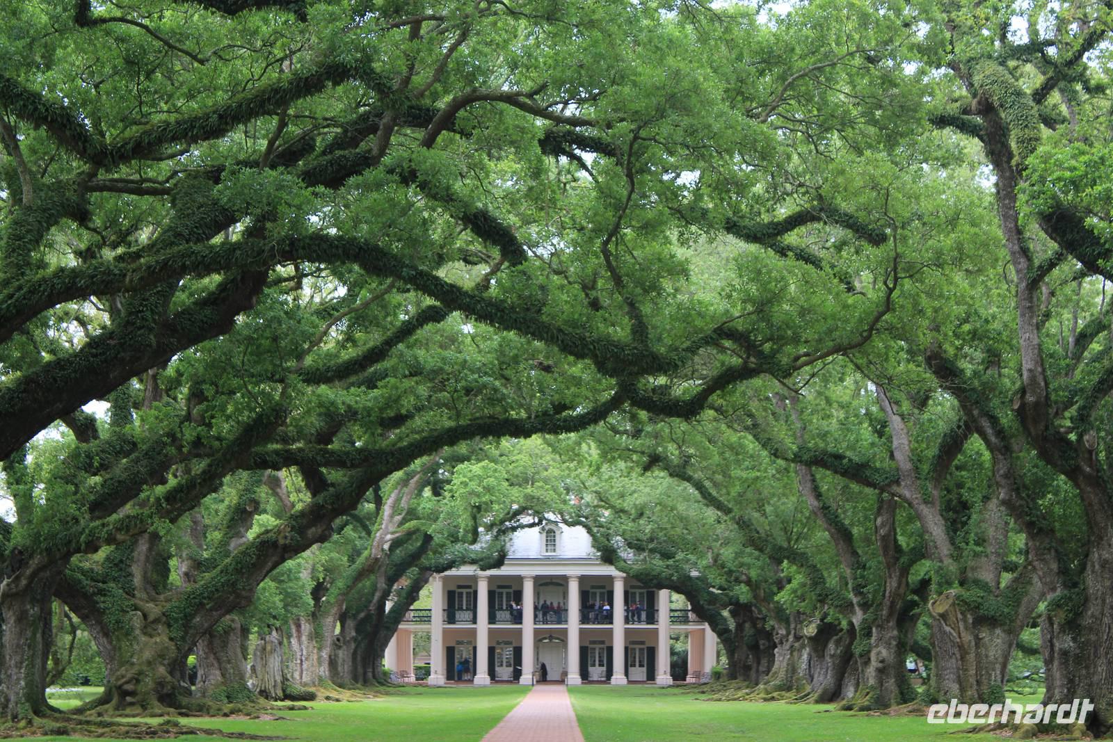 Oak Alley Plantage