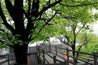 Besuch der Jack Daniels Destillerie