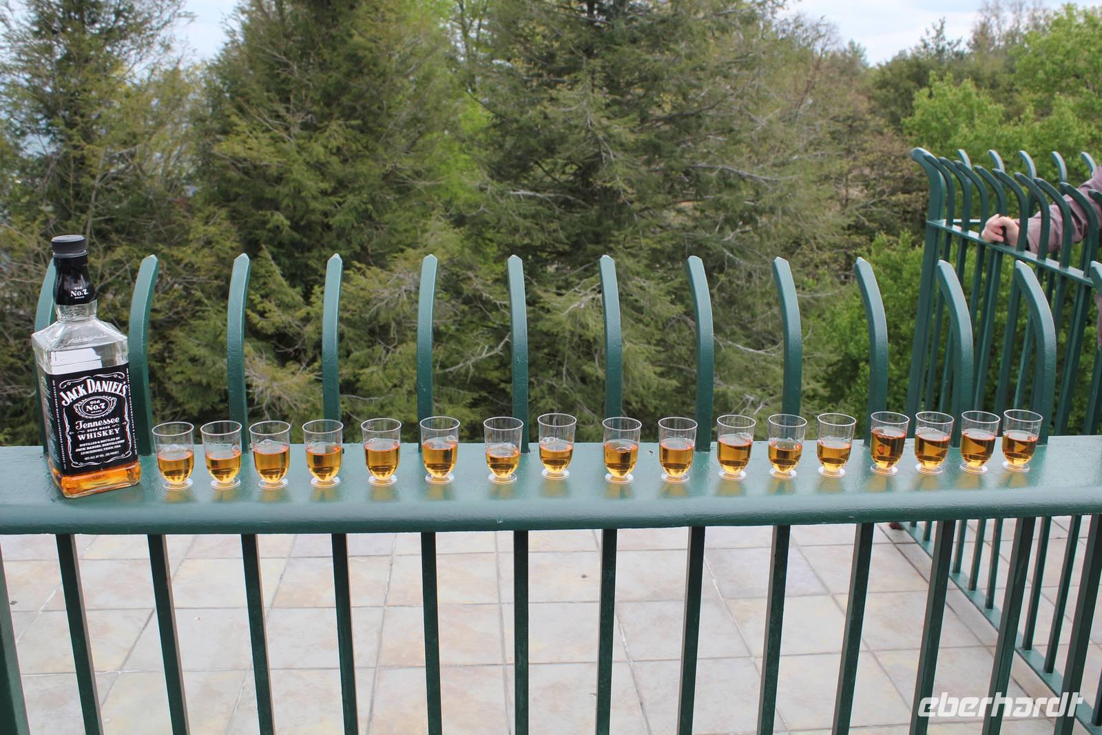 wir machen unsere eigene Jack Daniels Verkostung!