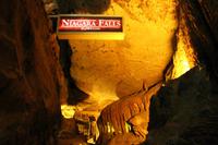 Höhlentour unter dem Lookout Mountain