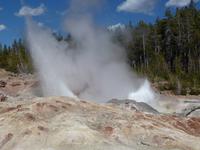 Springquelle im Norris Geyser Basin