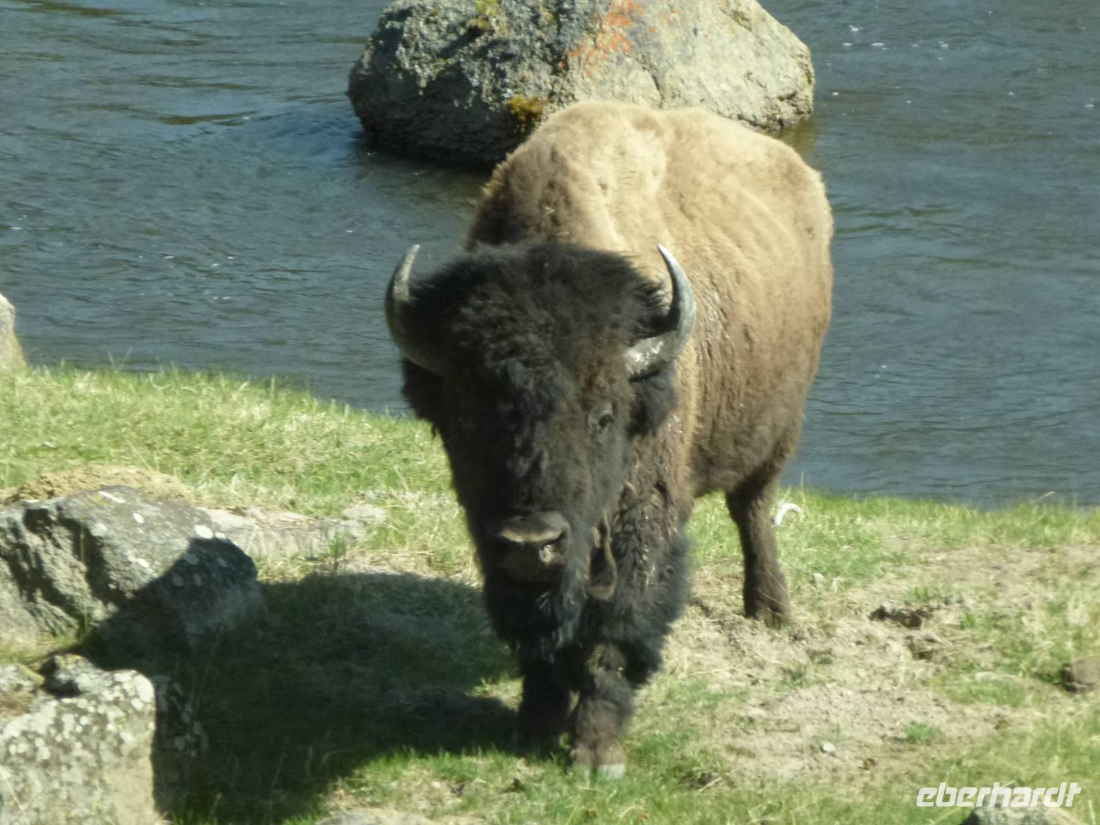 Sicherheitshalber vom Bus aus geknipst...