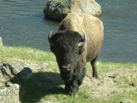 Sicherheitshalber vom Bus aus geknipst...