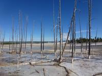 Im Lower Geyser Basin