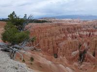 Bryce Canyon