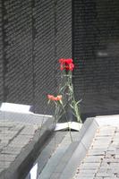Vietnam Memorial