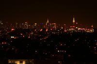 Manhattan bei Nacht 