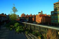Auf der High Line