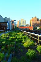 Auf der High Line