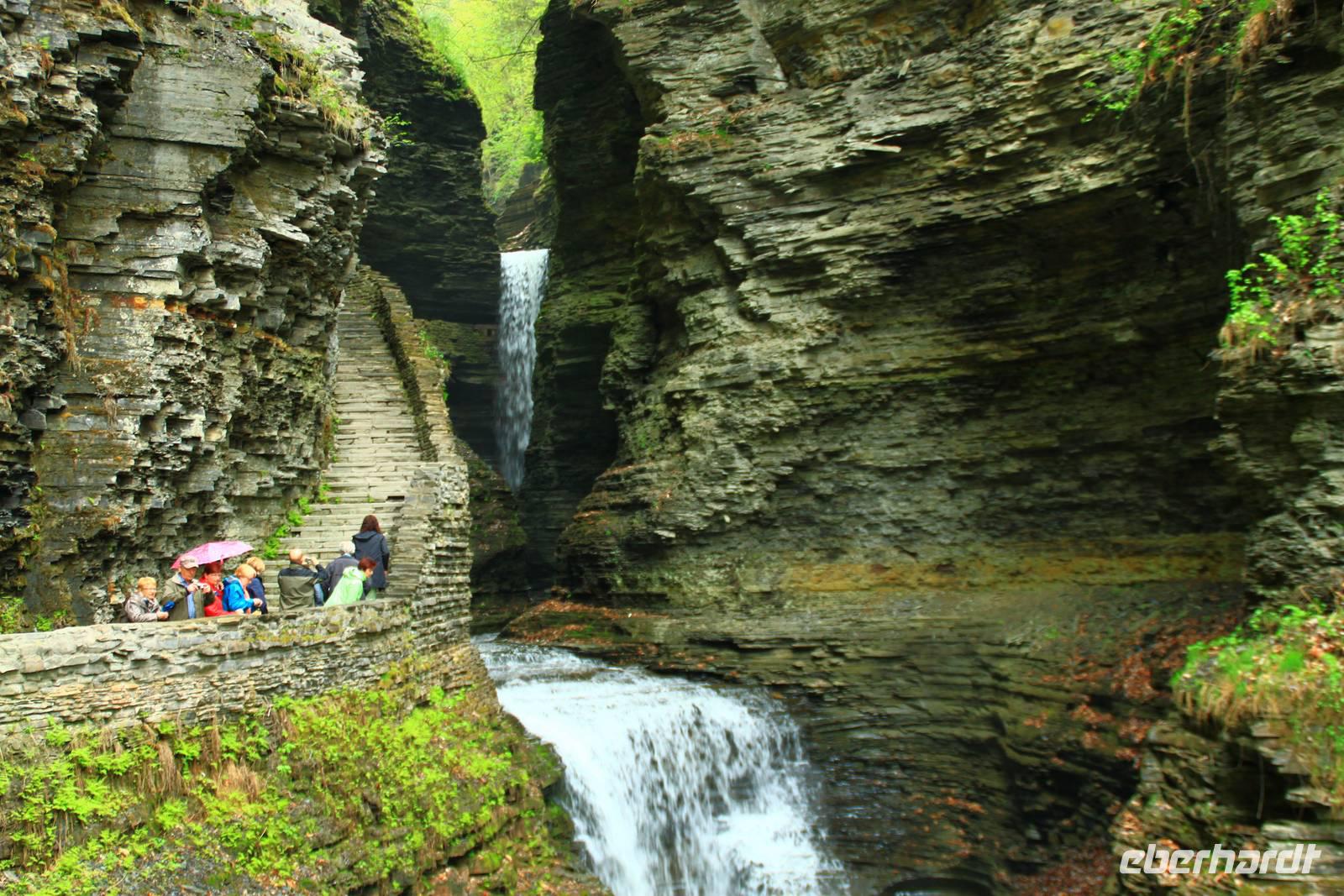Watkins Glen