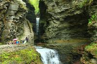 Watkins Glen