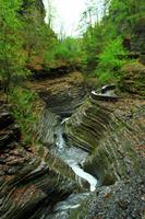 Watkins Glen