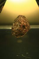 Kennedy Space Center