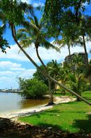 Im Garten des Thomas Alva Edison Hauses