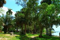 Im Garten des Thomas Alva Edison Hauses