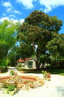 Im Garten des Thomas Alva Edison Hauses